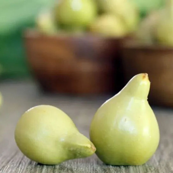 The Hidden Australian Secret That's Changing Women's Skincare Forever: Meet Kakadu Plum