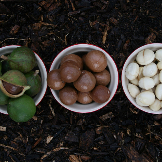 4 Benefits of Macadamia Oil for your Skin