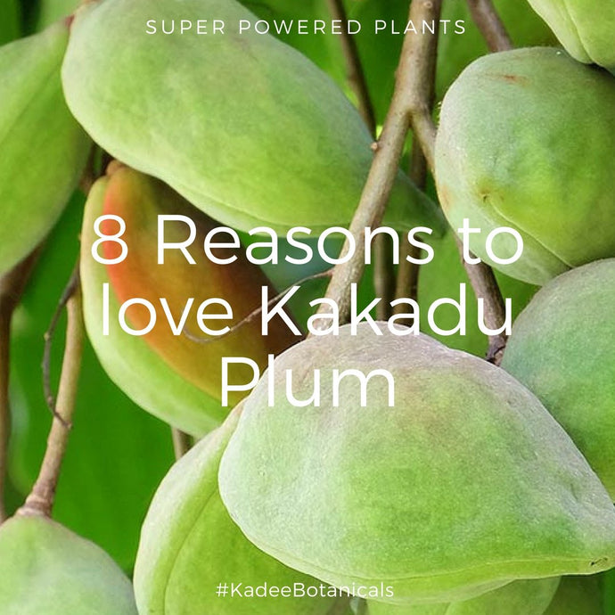 8 Reasons to Love Kakadu Plum